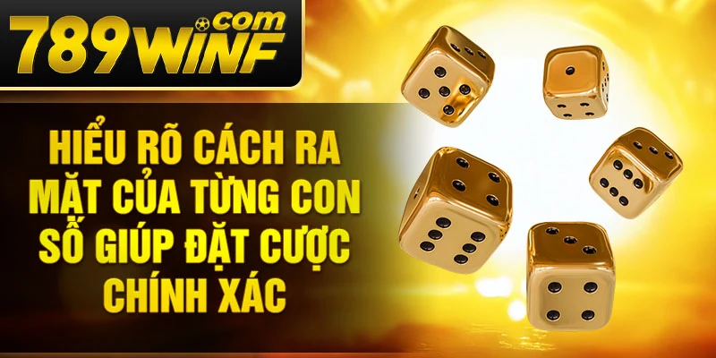 Hiểu rõ cách ra mặt của từng con số giúp đặt cược chính xác